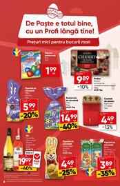 Catalog PROFI Pagină 17