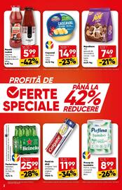 Catalog PROFI Pagină 2