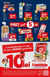 Catalog PROFI Pagină 5