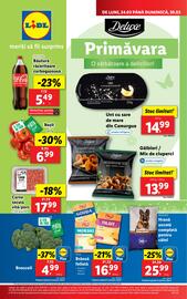 Catalog Lidl săptămâna 13 Pagină 1