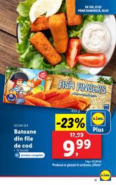 Catalog Lidl săptămâna 13 Pagină 13