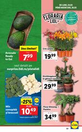 Catalog Lidl săptămâna 13 Pagină 3