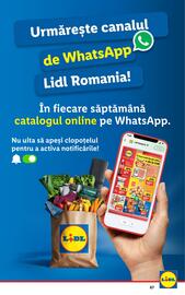 Catalog Lidl săptămâna 13 Pagină 67