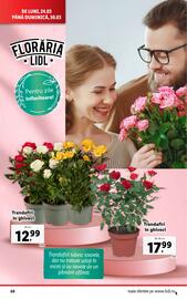 Catalog Lidl săptămâna 13 Pagină 68