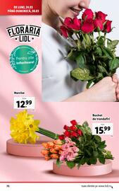 Catalog Lidl săptămâna 13 Pagină 70