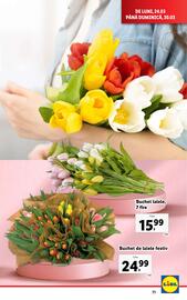 Catalog Lidl săptămâna 13 Pagină 71