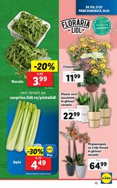 Catalog Lidl săptămâna 13 Pagină 73