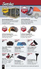 Princess Auto flyer Page 87