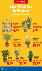 Catalogue Lidl semaine 13 page 28