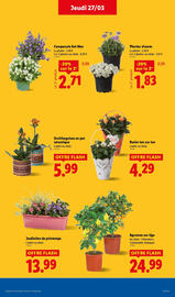 Catalogue Lidl semaine 13 page 29