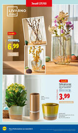 Catalogue Lidl semaine 13 page 34