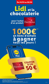 Catalogue Lidl semaine 13 page 9