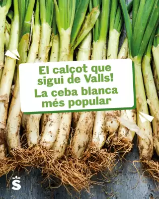 Folleto Sorli (válido hasta el 26-03)