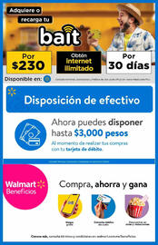 Catálogo Walmart Página 10