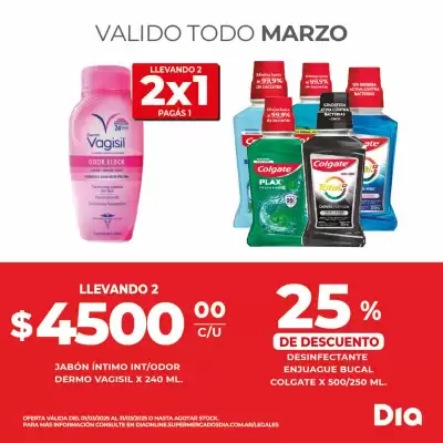 Catálogo Supermercados DIA (válido hasta 31-03)