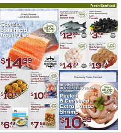 DeCicco & Sons Weekly Ad week 12 Page 5