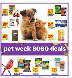 Meijer Weekly Ad week 13 Page 43