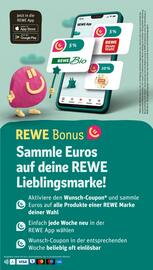 REWE tilbudsavis uge 13 Side 29