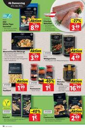 Lidl Flugblatt woche 13 Seite 17