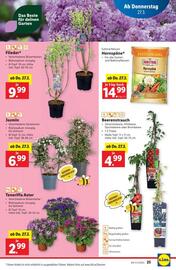 Lidl Flugblatt woche 13 Seite 28