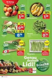 Lidl Flugblatt woche 13 Seite 41