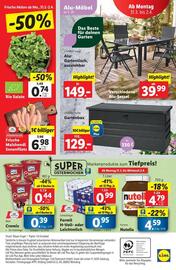 Lidl Flugblatt woche 13 Seite 47