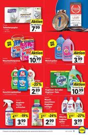 Lidl Flugblatt woche 13 Seite 8