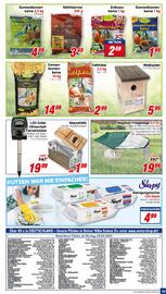 CENTERSHOP Prospekt woche 13 Seite 19