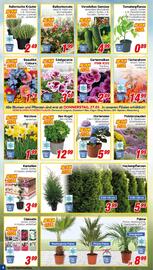 CENTERSHOP Prospekt woche 13 Seite 6