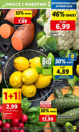 Lidl gazetka Strona 17