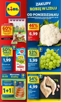 Lidl gazetka (ważność do 26-03)