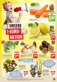 Edeka Frischemarkt Prospekt woche 13 Seite 5