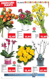 Catalog Kaufland Pagină 26