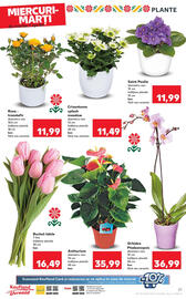 Catalog Kaufland Pagină 27