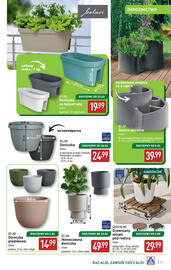 ALDI gazetka Strona 11