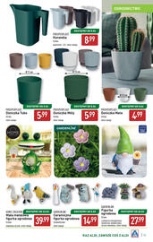 ALDI gazetka Strona 13