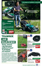 ALDI gazetka Strona 19