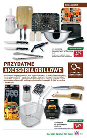 ALDI gazetka Strona 33