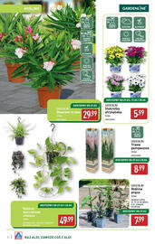 ALDI gazetka Strona 4