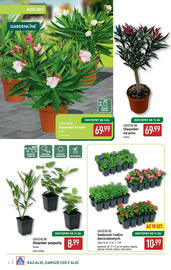 ALDI gazetka Strona 6
