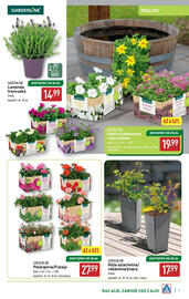 ALDI gazetka Strona 7