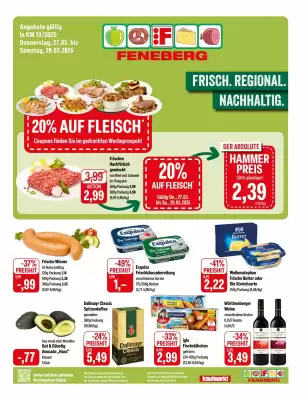 Feneberg Prospekt (gültig bis 30-03)