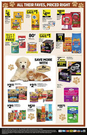 Dollar General Weekly Ad week 13 Page 14