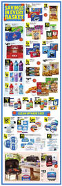 Dollar General Weekly Ad week 13 Page 3