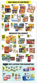 Dollar General Weekly Ad week 13 Page 4