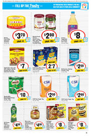 IGA catalogue week 13 Page 14