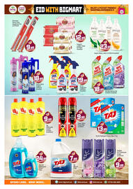 Bigmart catalogue Page 13