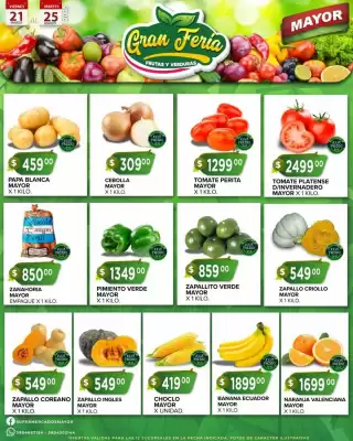 Catálogo Supermercados Mayor (válido hasta 25-03)