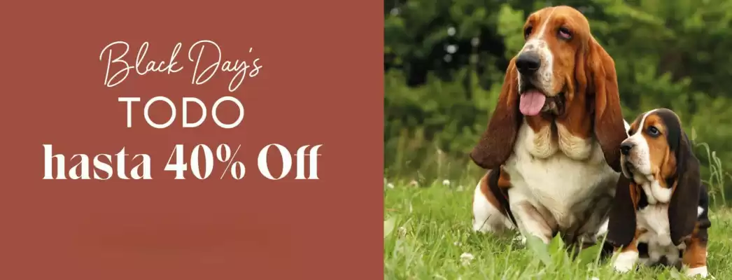 Catálogo Hush Puppies Kids (válido hasta 31-03)