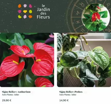Catalogue Le Jardin des Fleurs (valable jusqu'au 20-04)